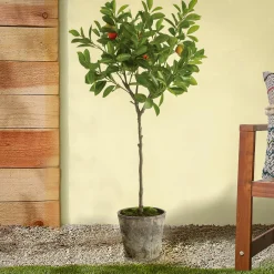 Online National Tree Company 41 in. Potted Orange Topiary Tree