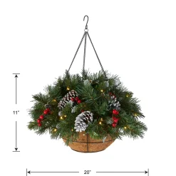 New National Tree Company 20 in. Pre-Lit Frosted Berry Hanging Basket with LED Lights