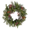 Online National Tree Company 24 in. Pre-Lit Bristle Berry Wreath with LED Lights