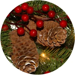 Online National Tree Company 24 in. Pre-Lit Bristle Berry Wreath with LED Lights