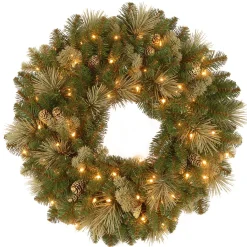 Hot National Tree Company 24 in. Pre-Lit Carolina Pine Wreath with LED Lights