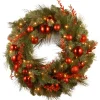 Online National Tree Company 24 in. Pre-Lit Decorative Collection Red Mixed Wreath with Warm White LED Lights