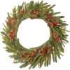 Sale National Tree Company 24 in. Pre-Lit Dorchester Fir Wreath with LED Lights