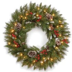 Online National Tree Company 24 in. Pre-Lit Frosted Berry Wreath with Clear Lights, Plug-In