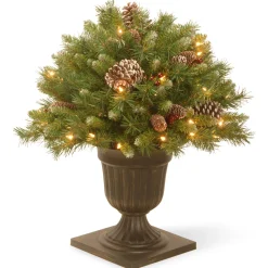 Sale National Tree Company 24 in. Pre-Lit Frosted Berry Porch Bush with Clear Lights