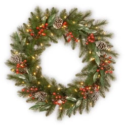 Hot National Tree Company 24 in. Pre-Lit Frosted Pine Berry Wreath with LED Lights