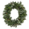 Online National Tree Company 30 in. Pre-Lit Glistening Pine Wreath with LED Lights