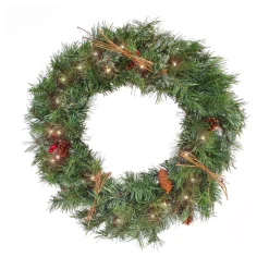 Discount National Tree Company 24 in. Pre-Lit Glistening Pine Wreath with LED Lights