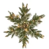 National Tree Company 32 in. Pre-Lit Glittery Bristle Pine Snowflake with LED Lights