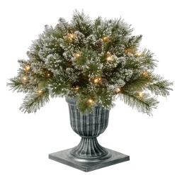 Discount National Tree Company 24 in. Pre-Lit Glittery Bristle Pine Porch Bush with Twinkly LED Lights