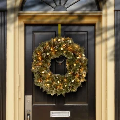 New National Tree Company 24 in. Pre-Lit Glittery Bristle Pine Wreath with Warm White LED Lights