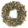 National Tree Company 24 in. Pre-Lit Glittery Bristle Pine Wreath with LED Lights