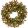 Discount National Tree Company 24 in. Pre-Lit Glittery Mountain Spruce with LED Lights