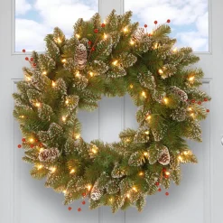 Discount National Tree Company 24 in. Pre-Lit Glittery Mountain Spruce with LED Lights