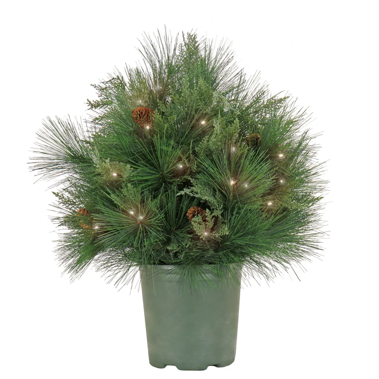 Outlet National Tree Company 26 in. Pre-Lit HGTV Home Collection Black Tie Planter Filler