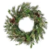 Sale National Tree Company 28 in. Pre-Lit HGTV Home Collection Holly and Berry Wreath