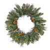 National Tree Company 24 in. Pre-Lit North Conway Wreath with Clear Lights