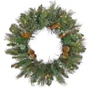 Outlet National Tree Company 30 in. Pre-Lit North Conway Wreath with Clear Lights