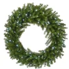 Hot National Tree Company 36 in. Pre-Lit Norwood Fir Memory Shape Wreath with Clear Lights
