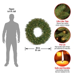 Online National Tree Company 36 in. Pre-Lit Norwood Fir Wreath with Clear Lights