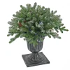 Sale National Tree Company 24 in. Pre-Lit Snowy Morgan Spruce Porch Bush with Twinkly LED Lights