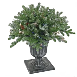 Sale National Tree Company 24 in. Pre-Lit Snowy Morgan Spruce Porch Bush with Twinkly LED Lights