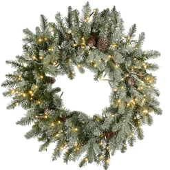 National Tree Company 24 in. Pre-Lit Snowy Morgan Spruce Wreath with Dual Color LED Lights