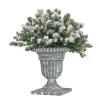 Clearance National Tree Company 24 in. Pre-Lit Snowy Sheffield Spruce Porch Bush with Twinkly LED Lights