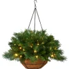 Outlet National Tree Company 20 in. Pre-Lit Tiffany Fir Hanging Basket with Warm White LED Lights