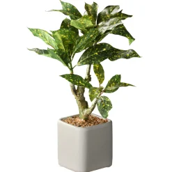 Sale National Tree Company 11 in. Spring Croton Tree Potted Plant in a Stylish Ceramic Pot Base