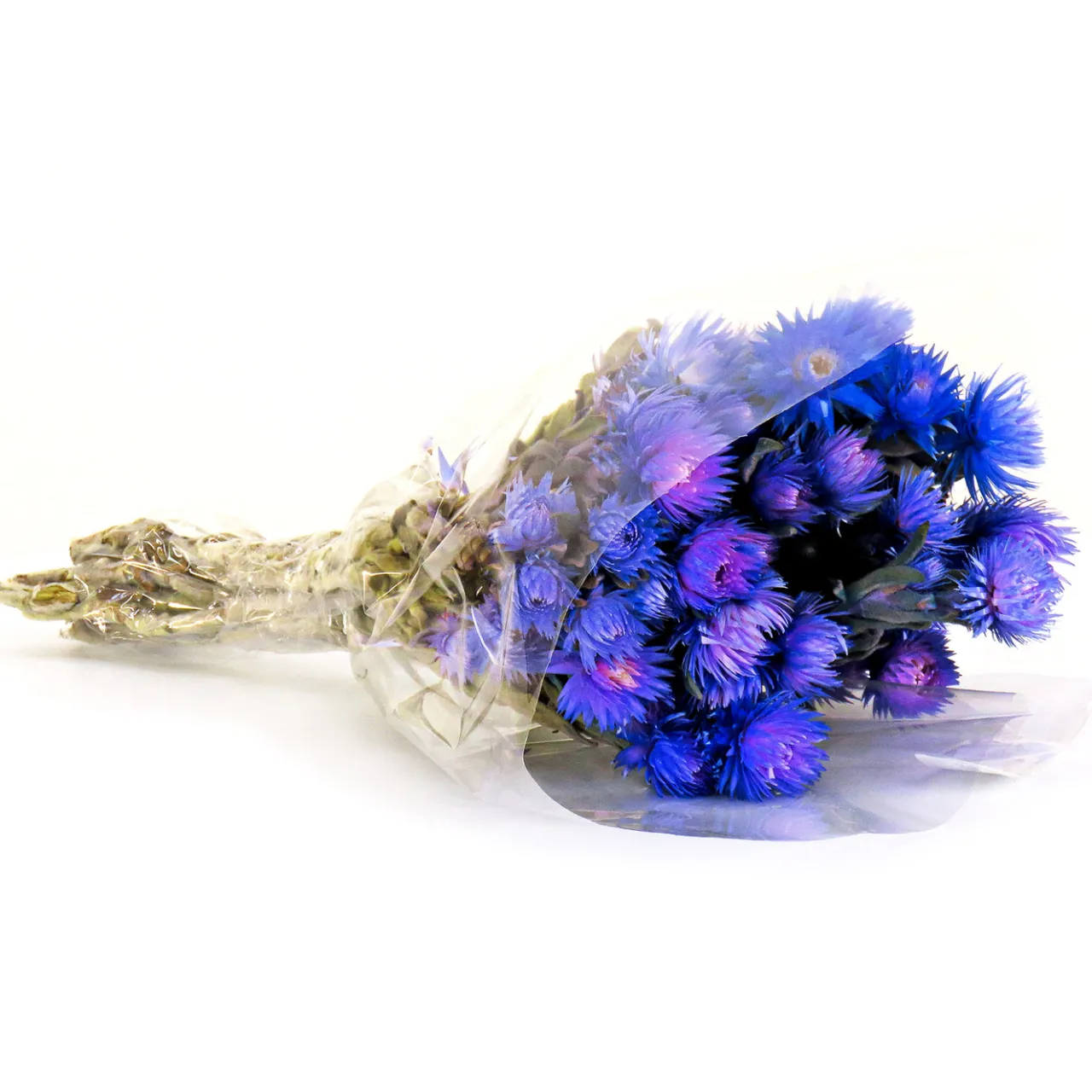 New National Tree Company 16 in. Spring Dried Blue Capeblumen Flowers Bouquet