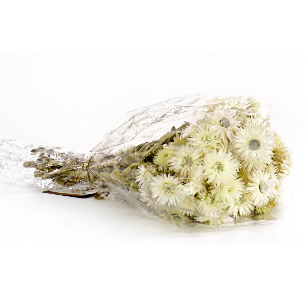 Sale National Tree Company 16 in. Spring Dried Natural Capeblumen Flowers Bouquet