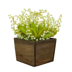Discount National Tree Company 10 in. Spring Green Lily-of-the-Valley Flowers in Wood Box