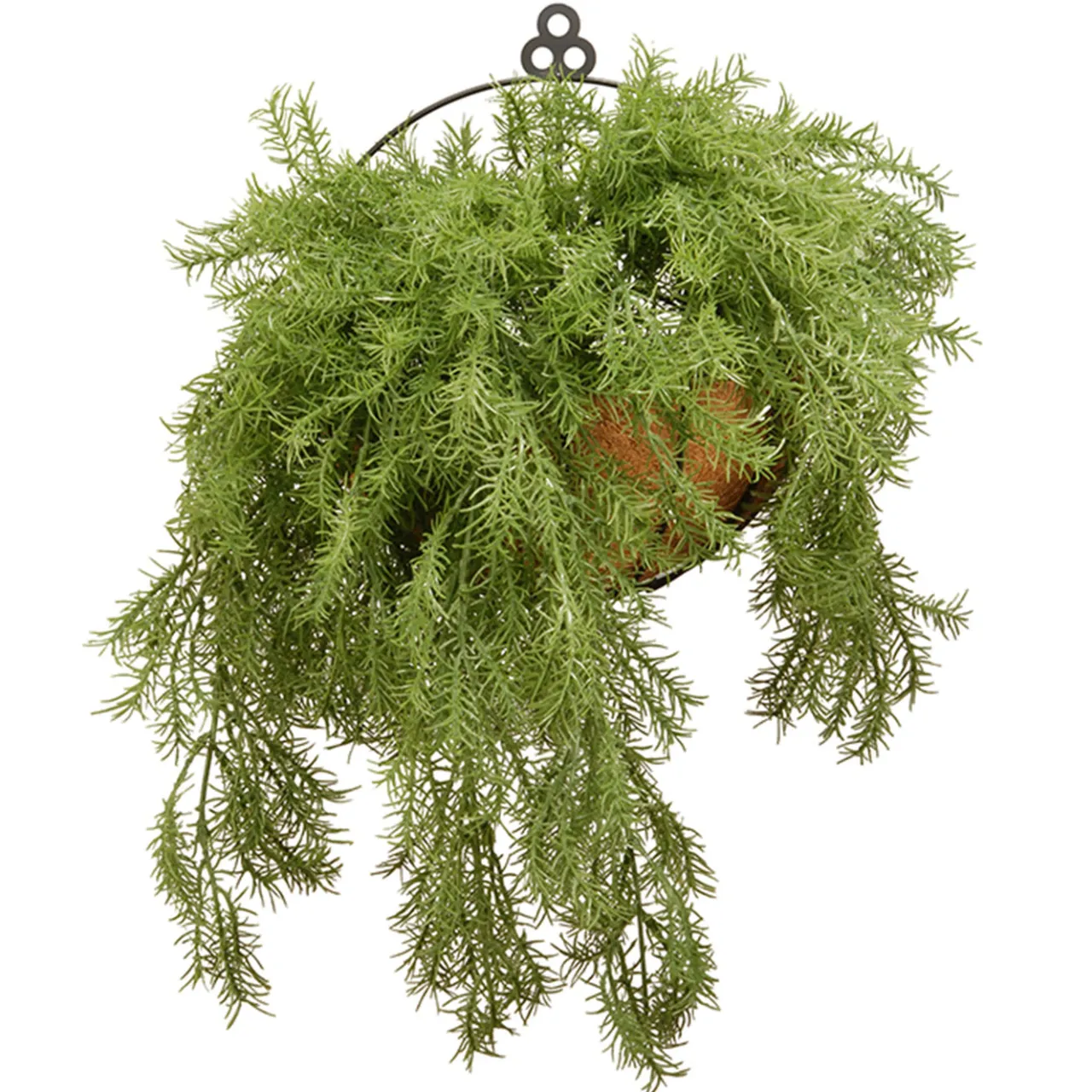 Discount National Tree Company 20 in. Spring Green Pine Branch Wall Basket