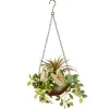 Sale National Tree Company 9 in Spring Hanging Basket with Green Leaf Plants, Vines in a Brown Pot