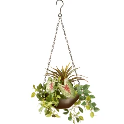 Sale National Tree Company 9 in Spring Hanging Basket with Green Leaf Plants, Vines in a Brown Pot