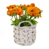 Outlet National Tree Company 10 in. Spring Orange Anemone Flower Bouquet in White Basket