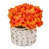National Tree Company 10 in. Spring Orange Hydrangea Bouquet in White Basket