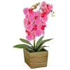Hot National Tree Company 21 in. Spring Pink Orchid Flower in Wood Box