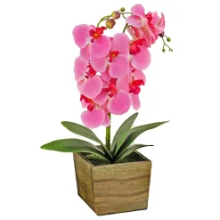 Hot National Tree Company 21 in. Spring Pink Orchid Flower in Wood Box