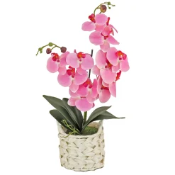 New National Tree Company 21 in. Spring Pink Orchid in White Basket