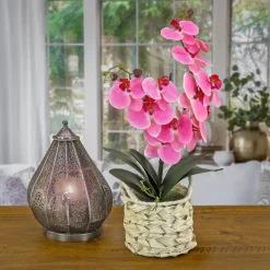 New National Tree Company 21 in. Spring Pink Orchid in White Basket