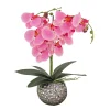 New National Tree Company 21 in. Spring Pink Orchid in Silver Smooth Ceramic Pot