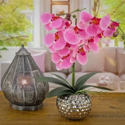 New National Tree Company 21 in. Spring Pink Orchid in Silver Smooth Ceramic Pot