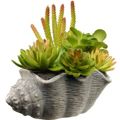 Discount National Tree Company 11 in. Spring Potted Plant with Various Green and Orange Succulents in a Stylish Conch Shell Cement Pot