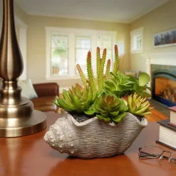 Discount National Tree Company 11 in. Spring Potted Plant with Various Green and Orange Succulents in a Stylish Conch Shell Cement Pot