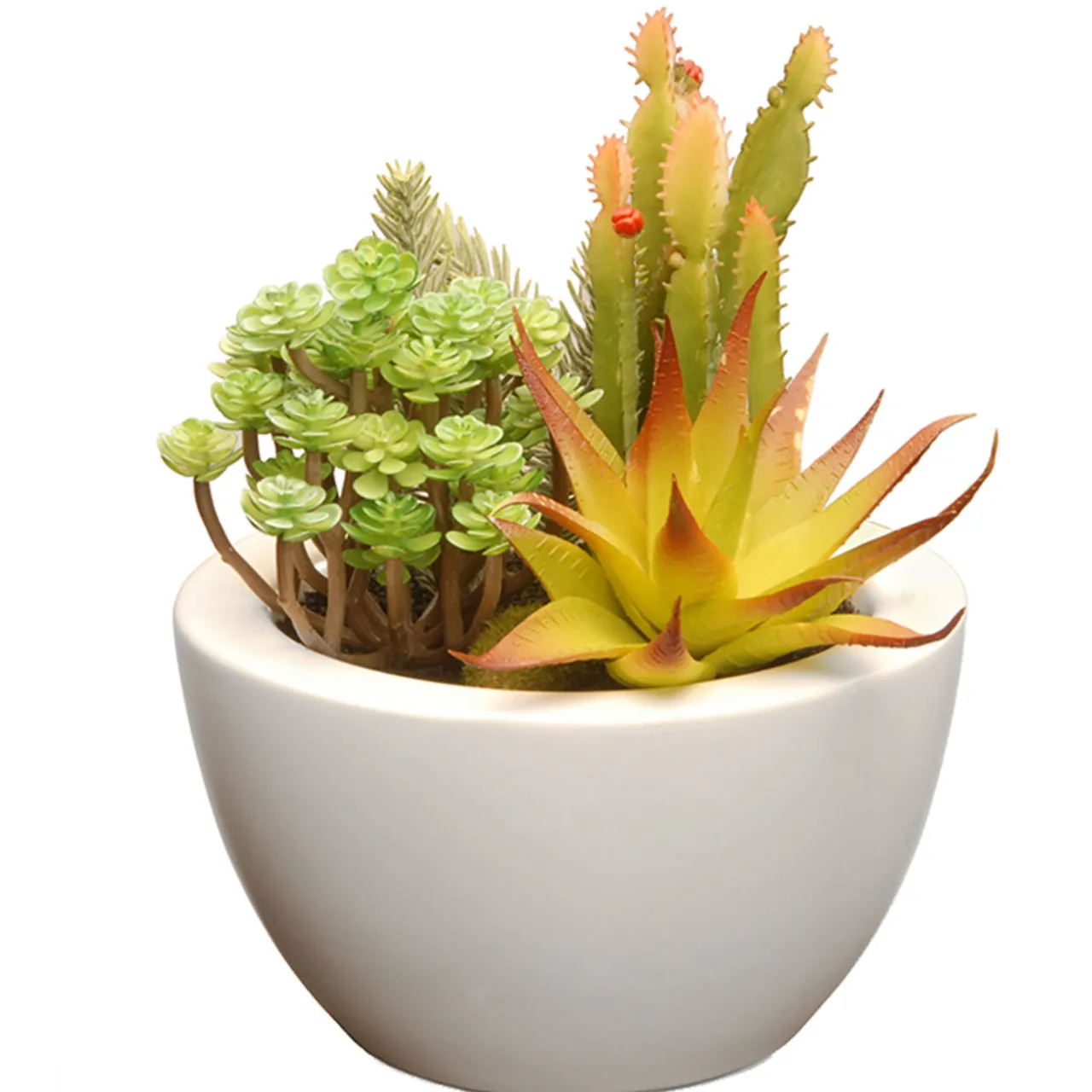 Sale National Tree Company 8 in. Spring Potted Plant with Various Green Succulents in a Stylish White Ceramic Base