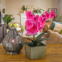 Online National Tree Company 21 in. Spring Purple Orchid Flower in Wood Box