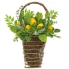 New National Tree Company 21 in. Spring Wall Hanging Basket with Lemons, Seed Pods, Leafy Greens