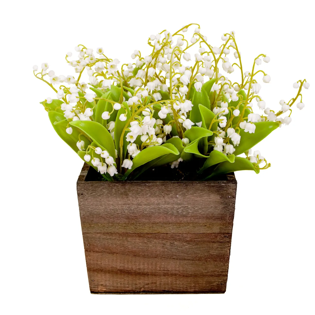 New National Tree Company 10 in. Spring White Lily-of-the-Valley Flowers in Wood Box